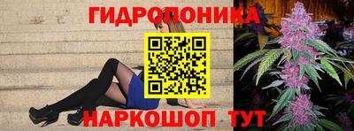 спиды Кинель