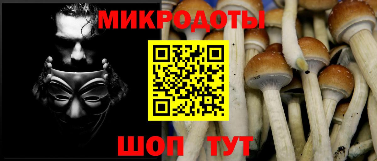 Псилоцибиновые грибы мицелий Клин